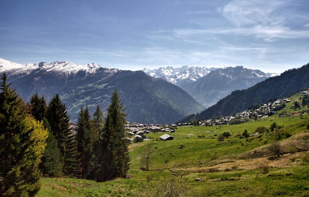 Fouquet 1Er Villa Verbier Ruang foto